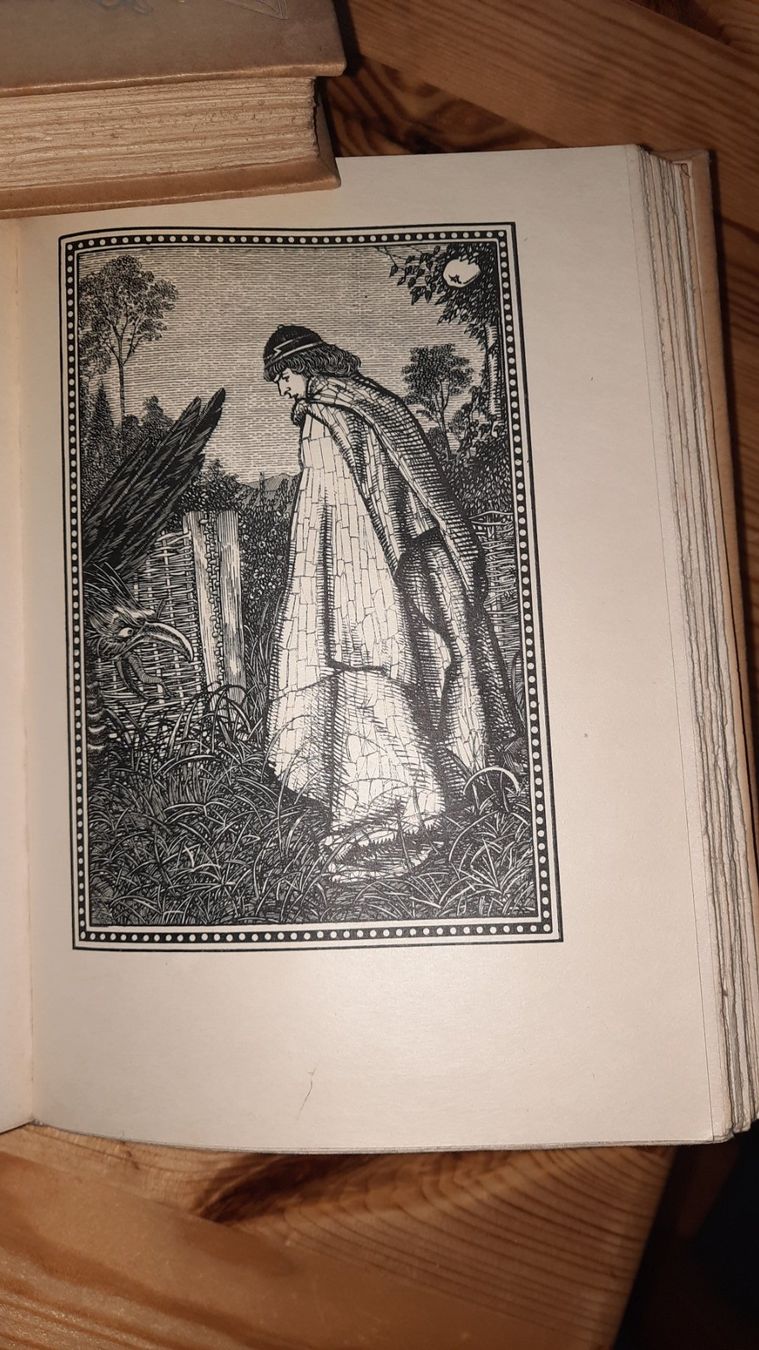 Libri: DIE ERGÖTZLICHEN NÄCHTE  von Giovanfrancesco Straparola – Usato da zürich venduto da gabab 5
