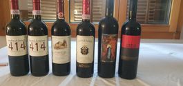 6 Flaschen ältere Rotweine Toscana (L12)