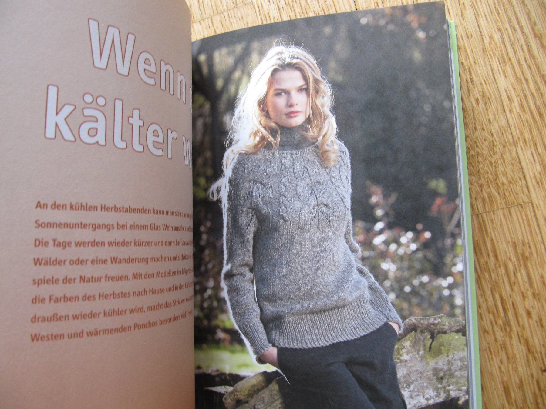 Libri: TOPP Stricken 100 schönsten Pullis Jacken etc – Nuovo (secondo la descrizione) da Würenlos venduto da AustralisZ 3