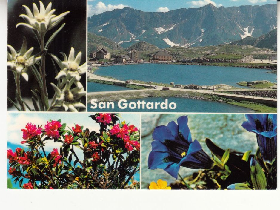 Ansichtskarten: San Gottardo ca. 1970 – Gebraucht aus Bürglen TG von StampGraf