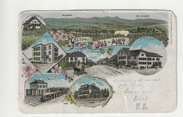 Ins,  Litho, 1901
