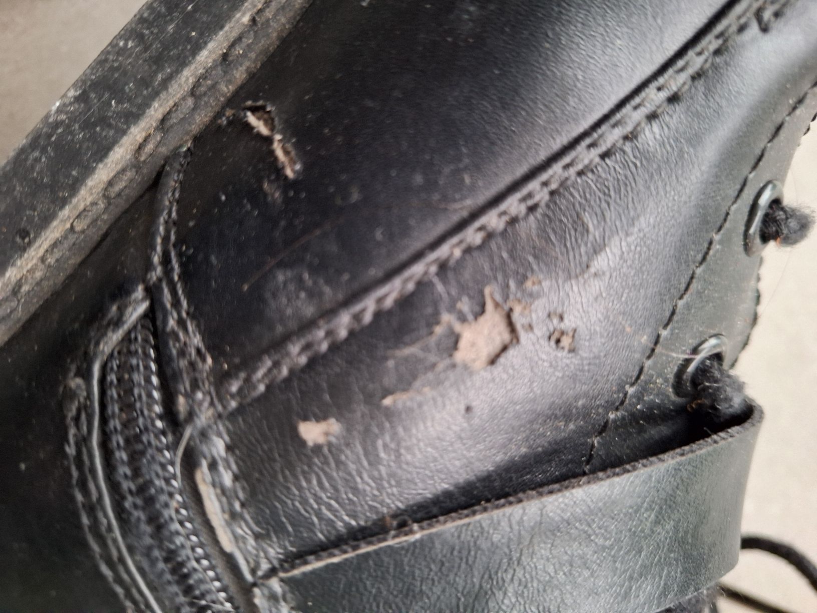 Scarpe da donna: POLO ASSN SCHUHE - Gr.38 – Usato da Steinhausen venduto da togoraul123 6