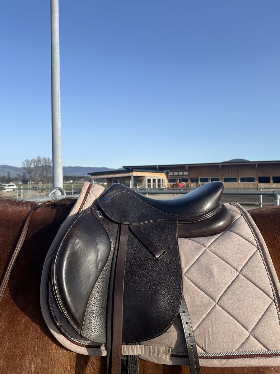 Selle & Accessori: Ikonic VSS Sattel – Usato da Marbach SG venduto da dstar000