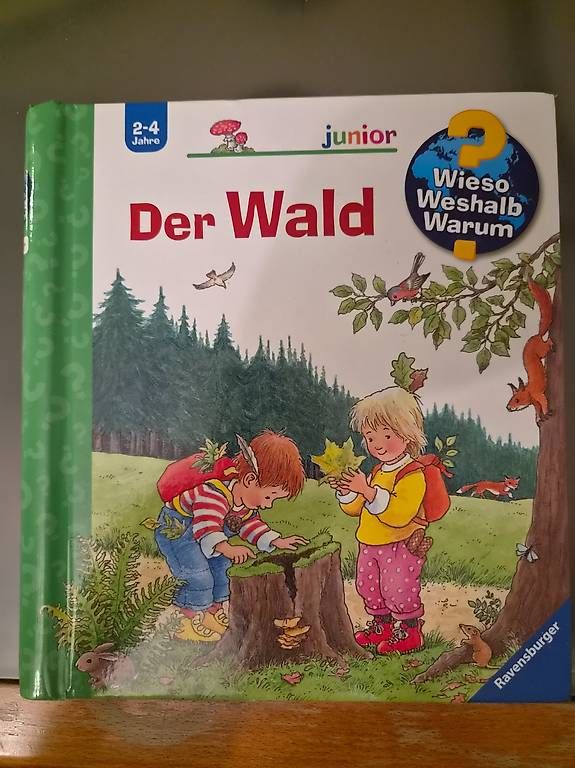 Libri: Wieso Weshalb Warum? junior  Der Wald – Usato da Gümligen venduto da tam_m9pl