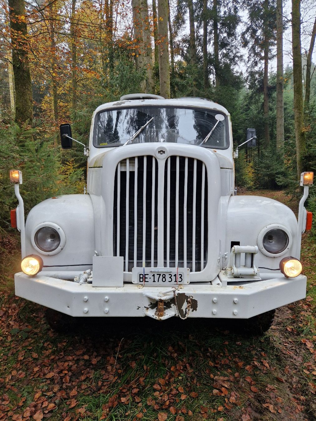 Saurer 2DM (Gebraucht) in Bannwil für CHF 5000 – nur Abholung auf ...