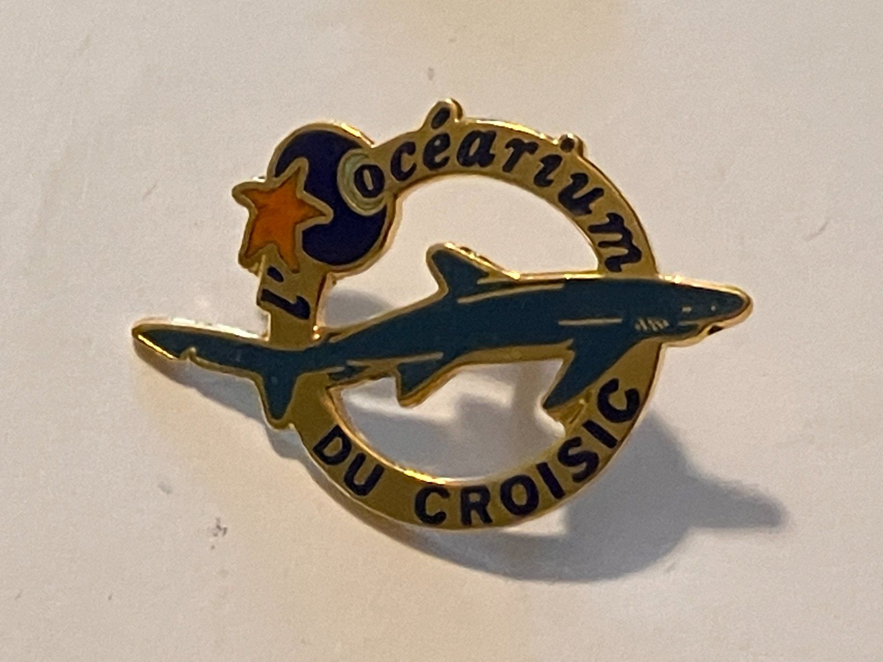 Placchette & Badge: 1 Pin L'Ocearium du Croisic – Usato da Basel venduto da djwwpp
