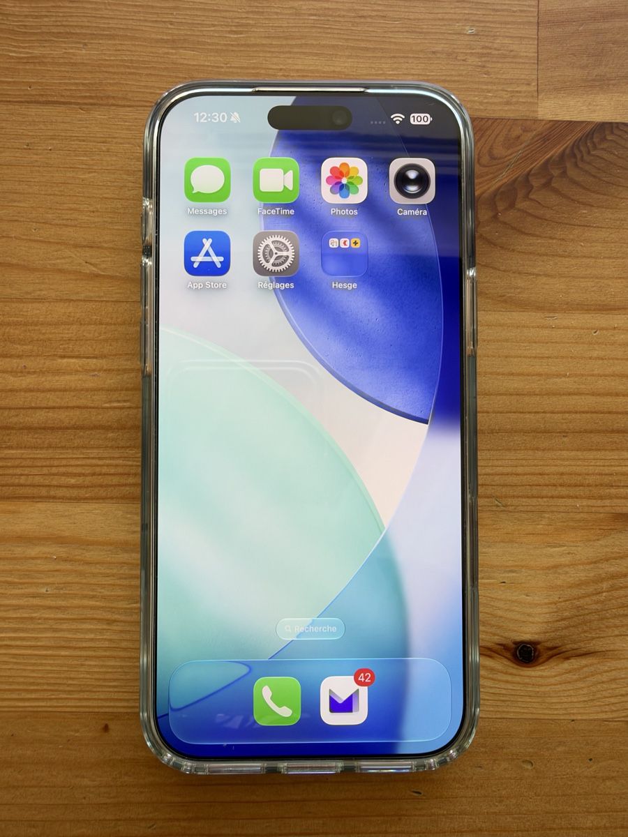 Apple Telefoni cellulari / Smartphones: iPhone 17 pro Max bleu 2 TB excellent état  – Usato da Chêne-Bougeries venduto da PPP1224 2