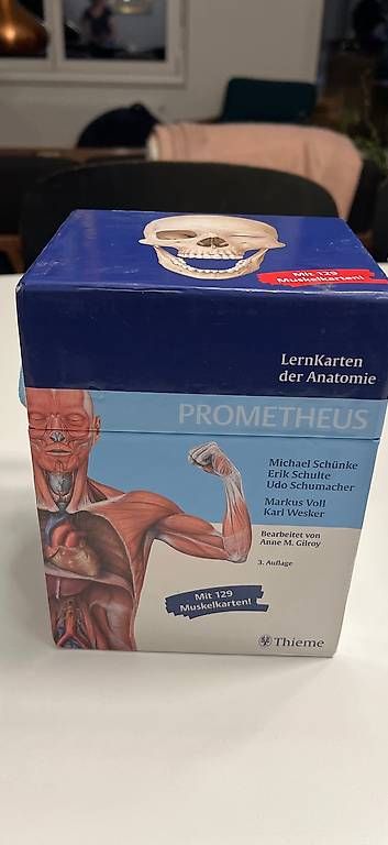 Altro materiale scolastico: Prometheus LernKarten Anatomie – Usato da Bern venduto da Babsbanni