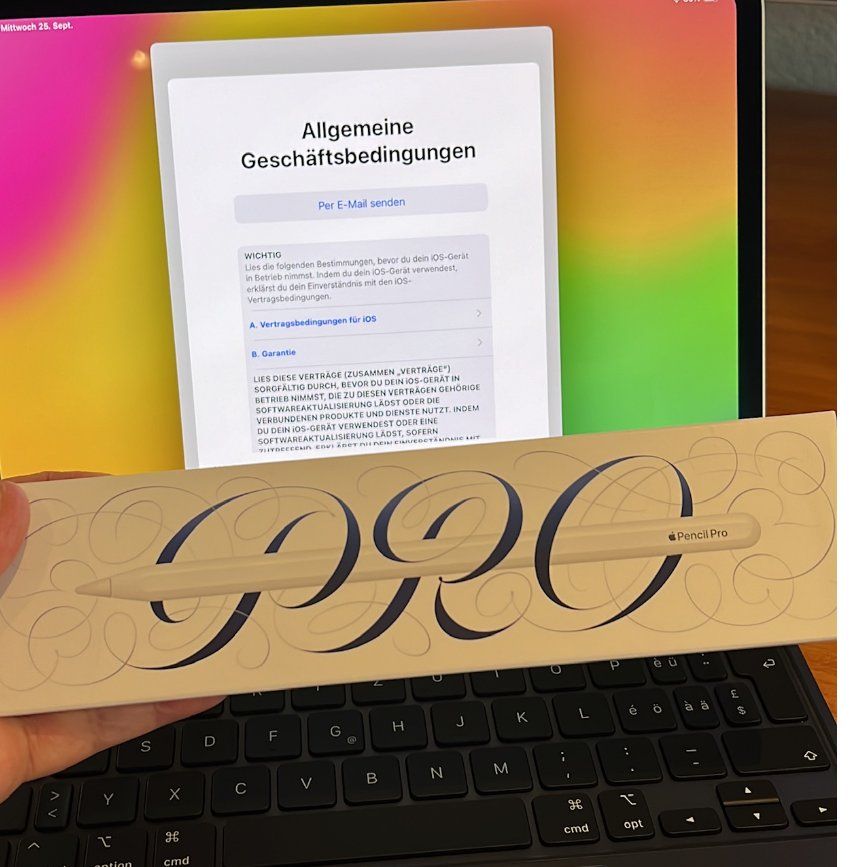 Apple Tablet PC: Apple iPad Pro 11 2024 – Neu (gemäss Beschreibung) aus Gränichen von e_xclusive 1