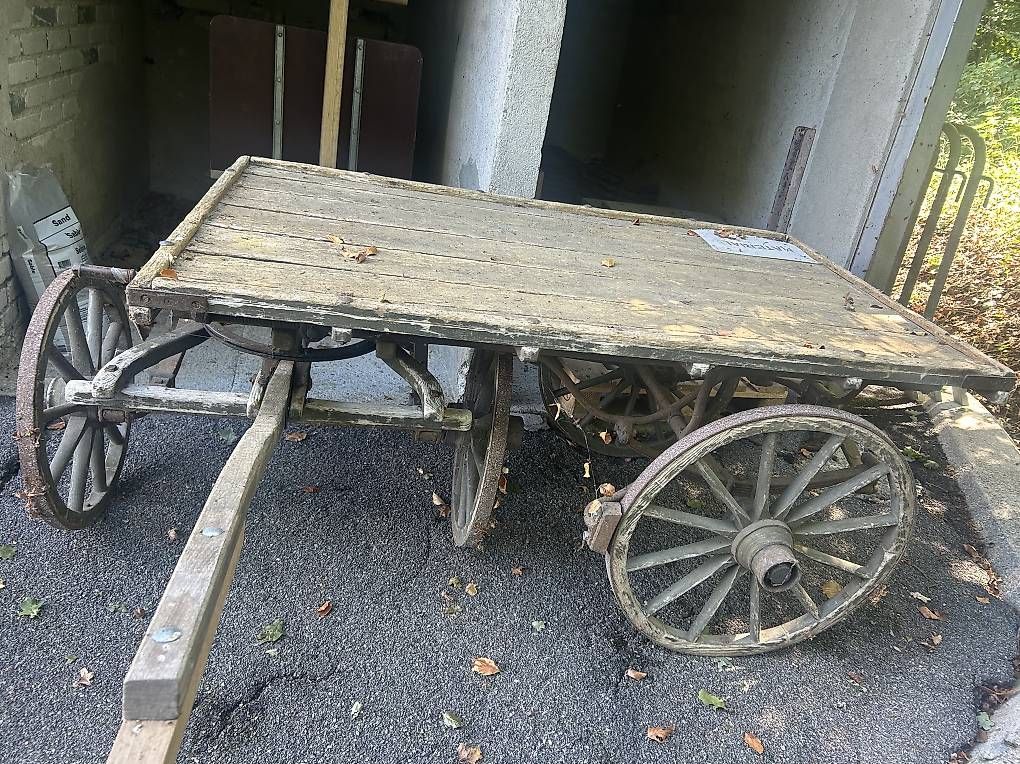 Carrozze: Antiker Pferdewagen  – Usato da Winterthur venduto da Campos1 1