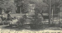 18.5.1902Rheinfelden Gruss vomGrandhotel"des Salines"Kutsche