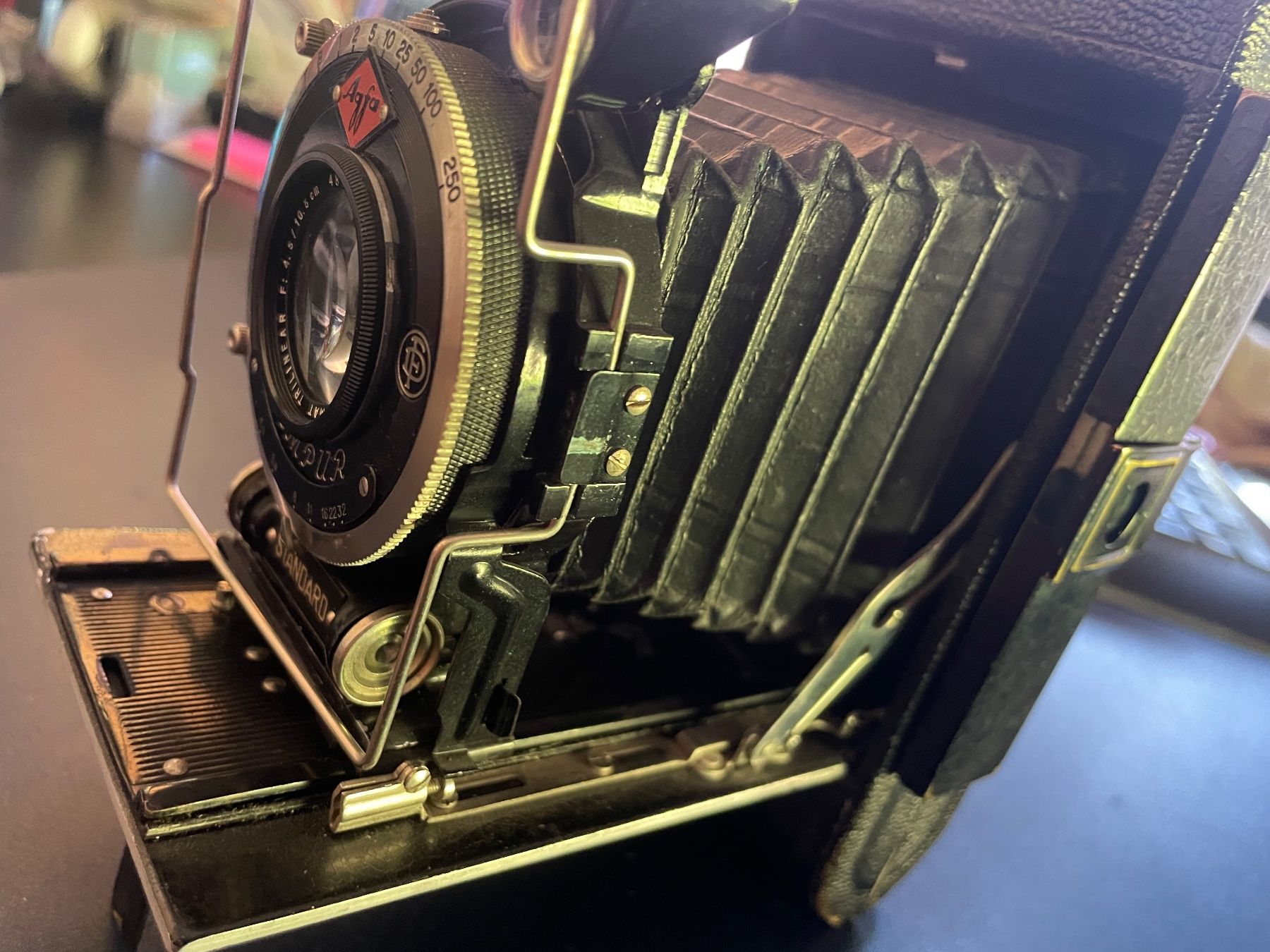 Agfa Kamera: Agfa Compur Standard Faltkamera – Gebraucht aus Volketswil von rubin74 3