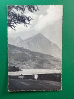 Niesen