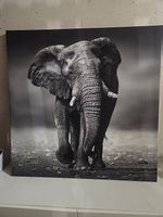Leinwandbild 100x100 cm