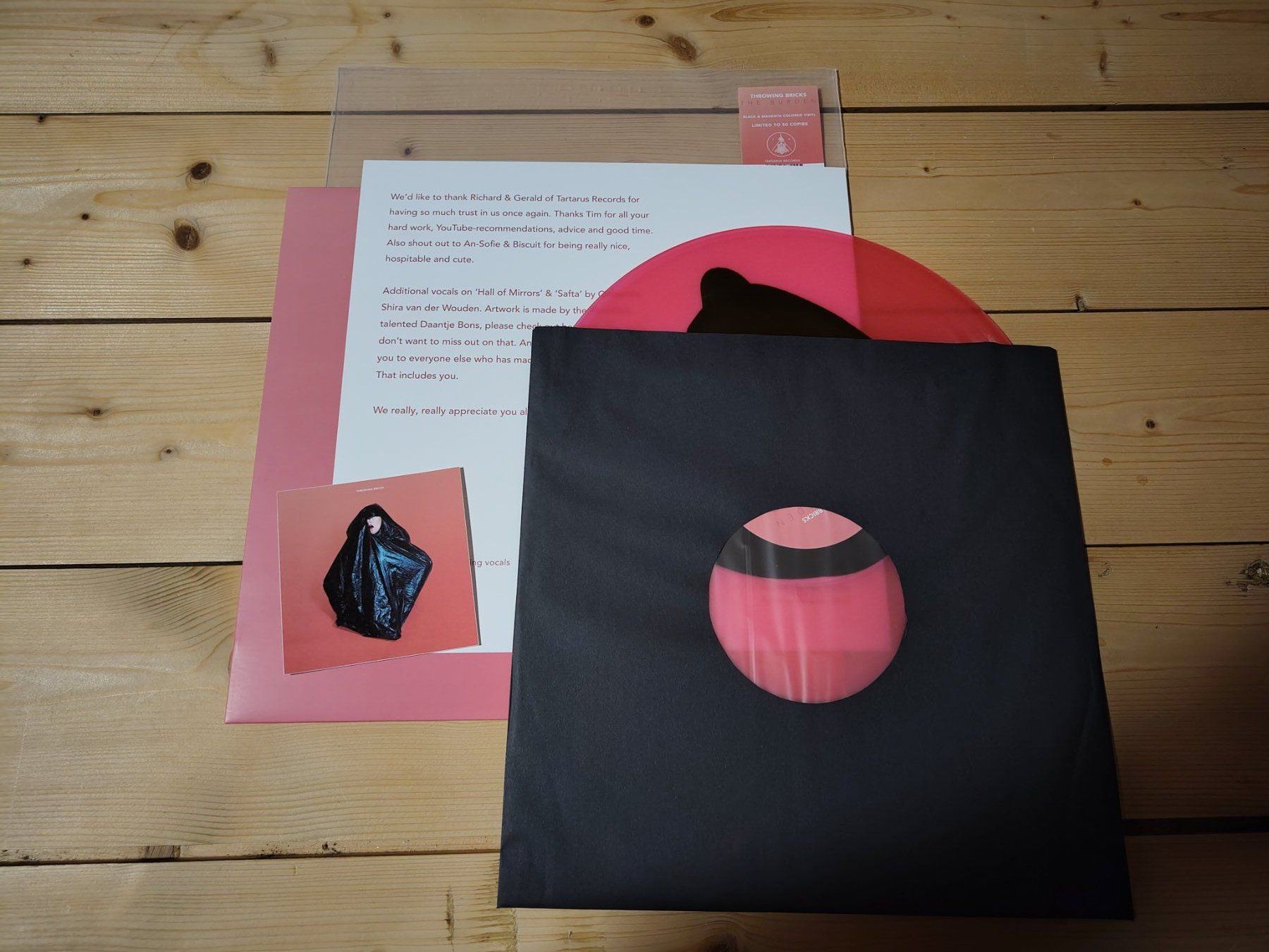 Dischi in vinile: Throwing Bricks - The Burden – Usato da Wasterkingen venduto da Palu17 1