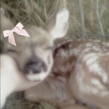 Profile image of sof_2xg6