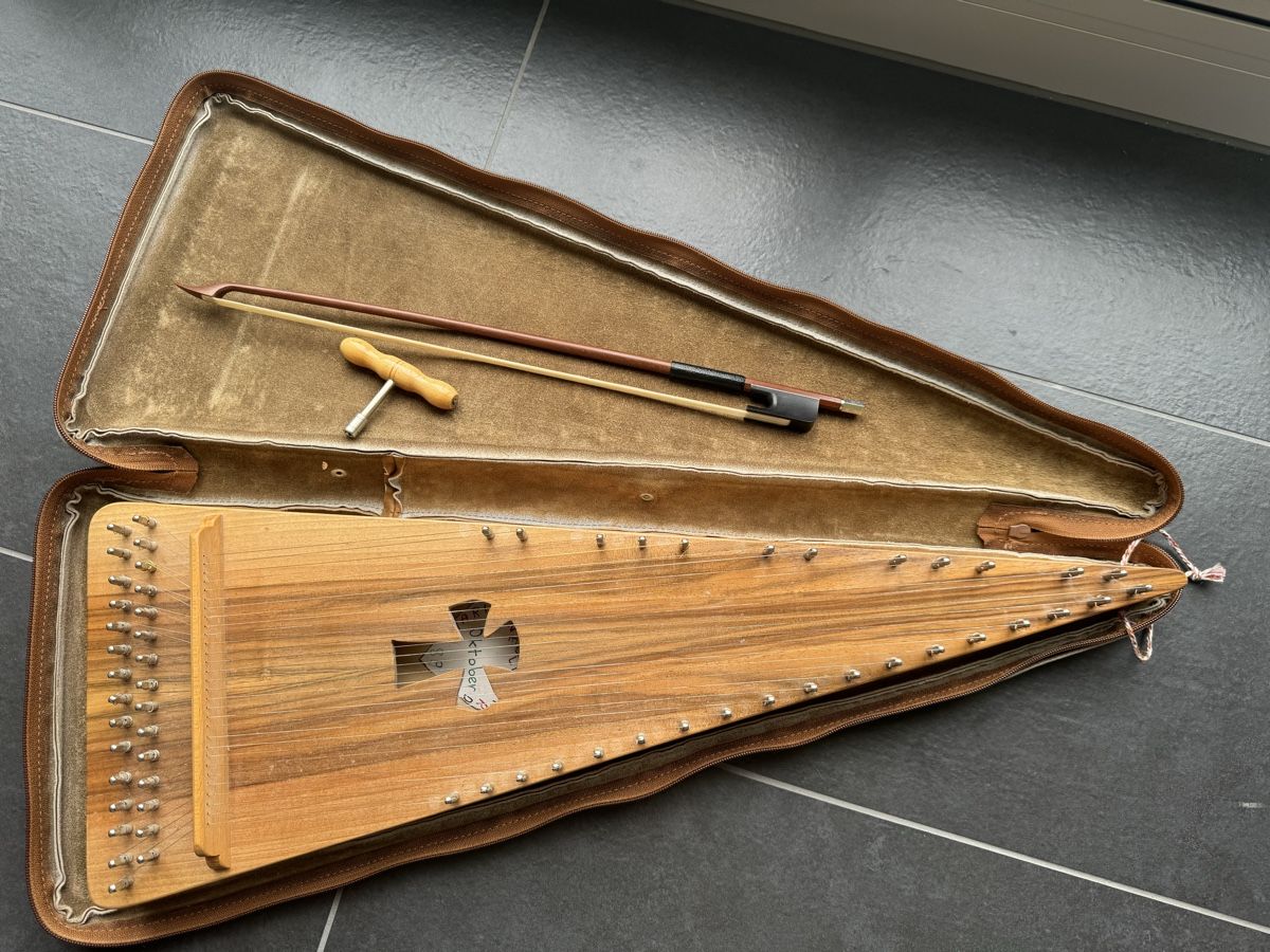 Cassapanche: Streichpsalter Saiteninstrument – Usato da Riehen venduto da mistercho 3
