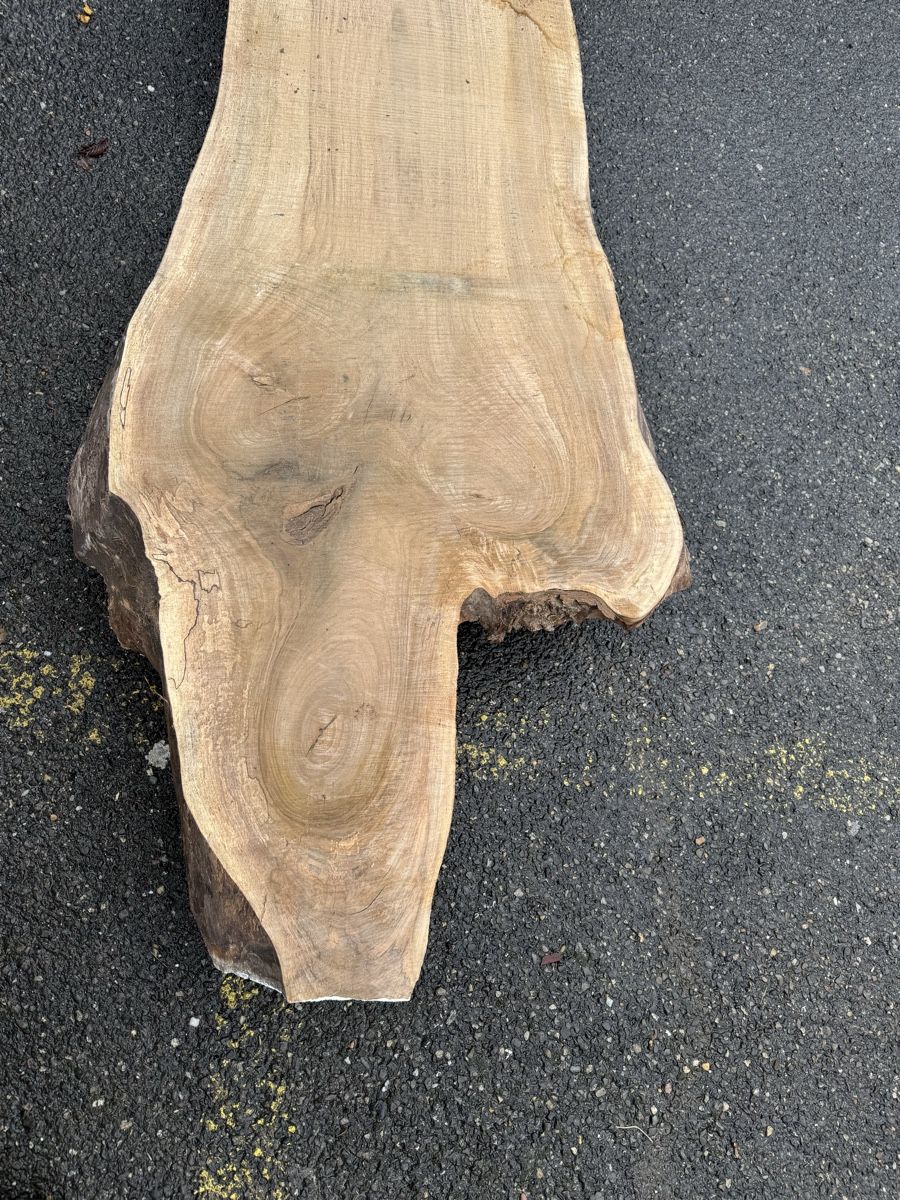 Articoli in legno: Nussbaum Klotzbrett 280  cm lang! – Usato da Gränichen venduto da onkel_xxl 1