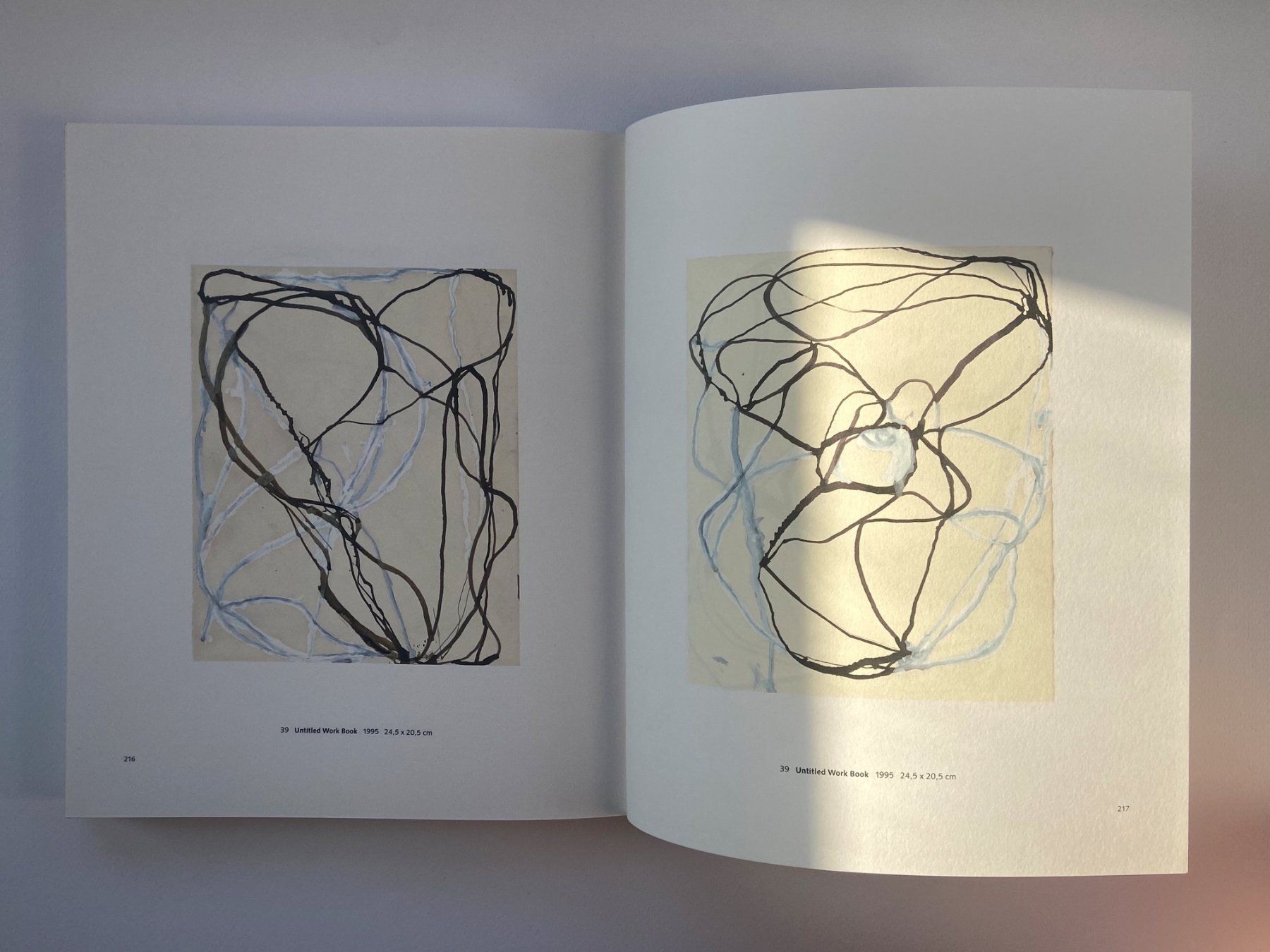 Libri: Brice Marden: Work Books, 1964-1995. Selten. – Usato da Zürich venduto da Tulsa1968 4
