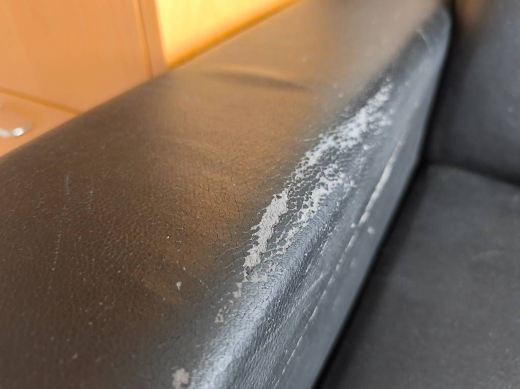Divani: Bettsofa Gratis – Usato da Zug venduto da xam_p6b2 3