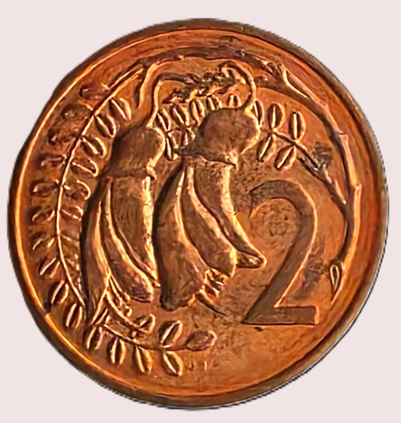 Alle Münzen: NEUSEELAND 2 CENTS 1981 – Gebraucht aus Winterthur von Creso70
