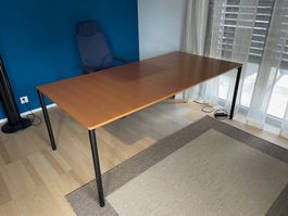 Tisch