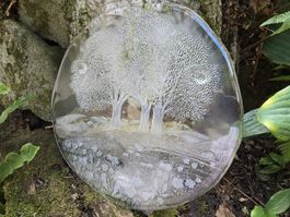 Glasplatte Hergiswil mit Baumrelief