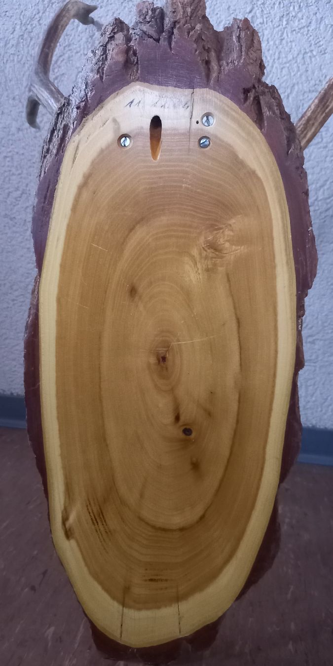 Sonstiges zum Sammeln & Seltenes: HIRSCHTROPHÄE / Hirschgeweih; v. 11.12.04, auf Lärchenbrett – Gebraucht aus Marbach LU von Ilrebo 8