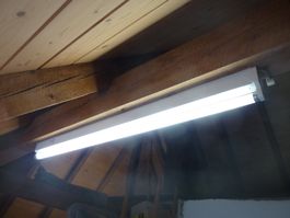 Zumtobel ZE 1x36W T26 EVG Leuchtstofflampe - NEU