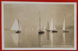 Segelsport auf dem Zürichsee 1926