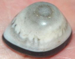 Cabochon L-5714 – Sulemani Hakik Achat Auge 30,40 Karat