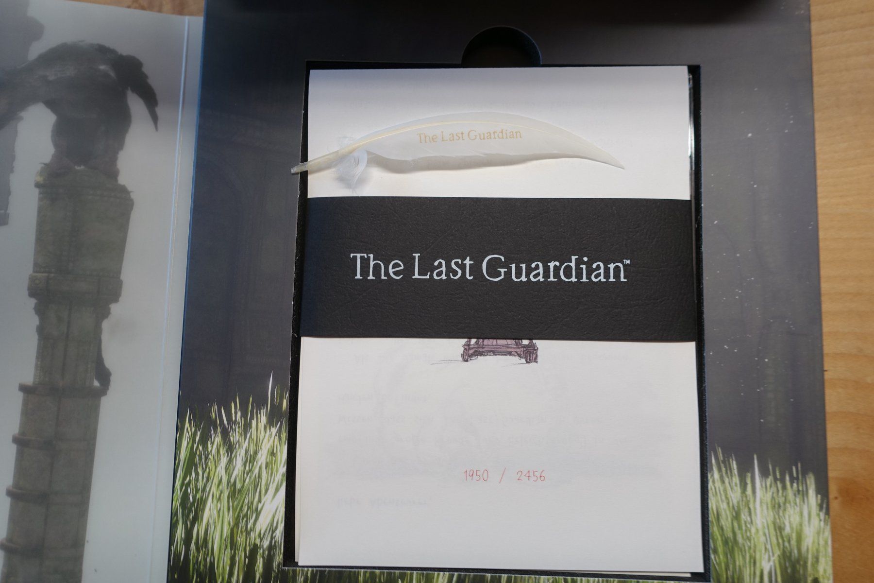 Sony Spiele: The Last Guardian - Press Kit – Gebraucht aus Steinach von Gamecet 5