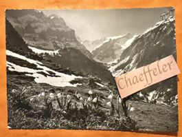 1959 Frühlingsboten im Alpstein Blick zum Säntis