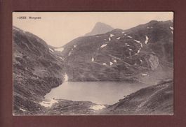 MURGSEE