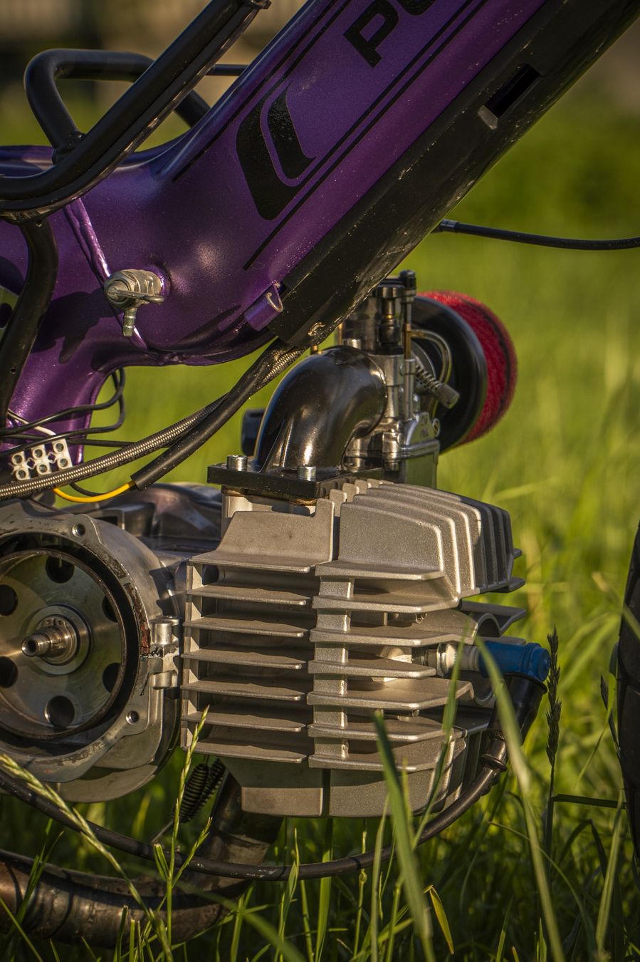 Puch Mofas: Puch Maxi S – Gebraucht aus Egolzwil von Schaermike 9