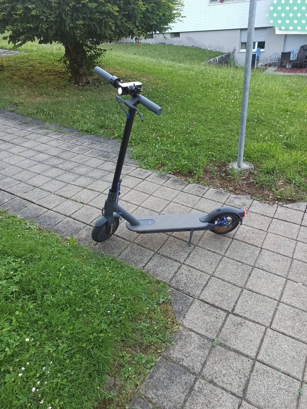 Scooter: Xiaomi Mi E-Scooter – Usato da Adliswil venduto da gcm_zbj6