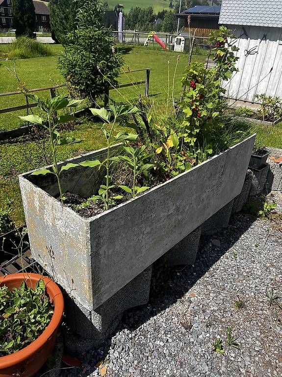 Blumentöpfe: Grosser Eternittopf 140x45x45 – Gebraucht aus Schönengrund von Oldbutgold93 2