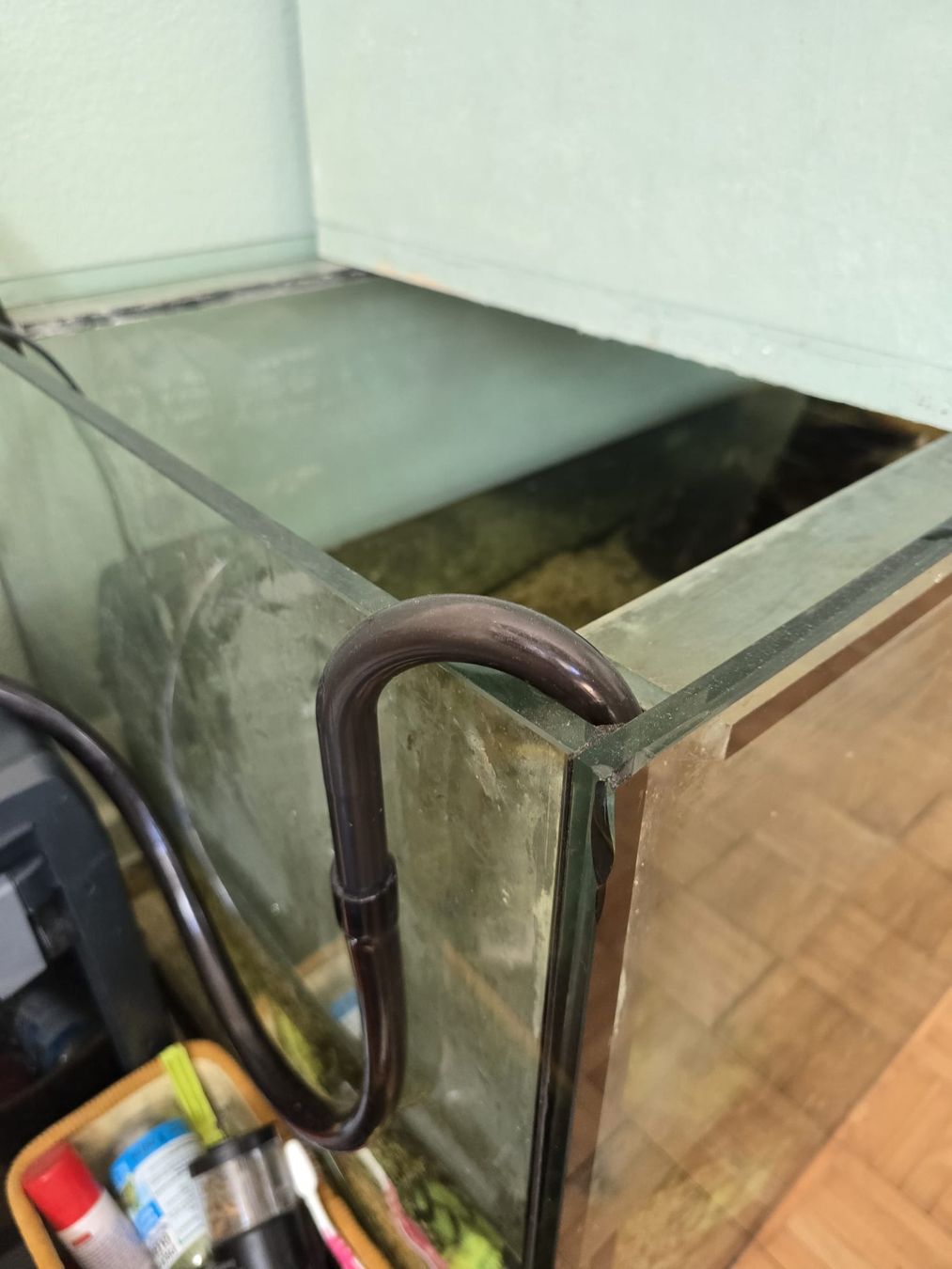 Acquari: Used Aquarium - 200x60x60cm – Usato da Zürich venduto da jjr_62ng 3
