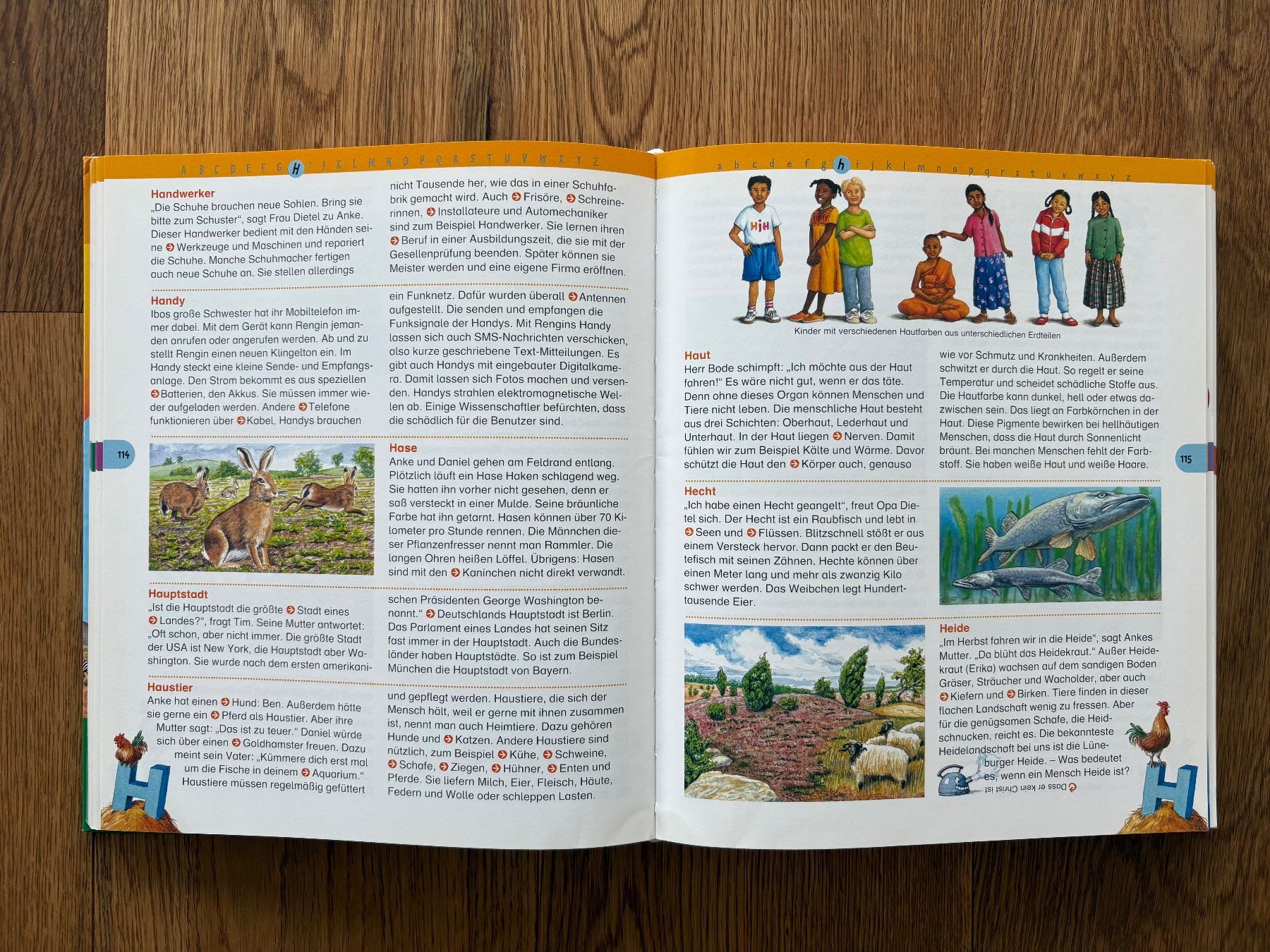 Libri: Meyers grosses Kinderlexikon – Usato da Horgen venduto da Rafnaf 2