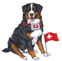 Auto Aufkleber 300 – Berner Sennenhund - 20 x 20 cm