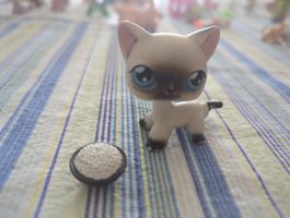 littlest pet shop siamesische Katze 