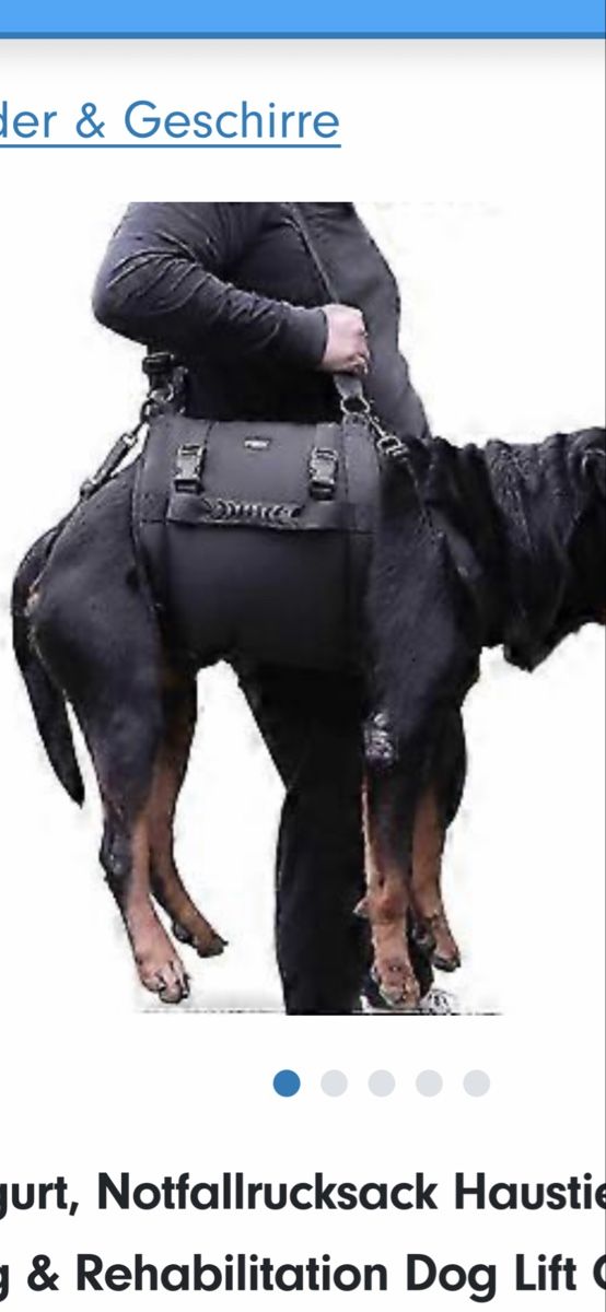 Borse: Hundetragetasche XL – Nuovo (secondo la descrizione) da Uetliburg SG venduto da YALE 2