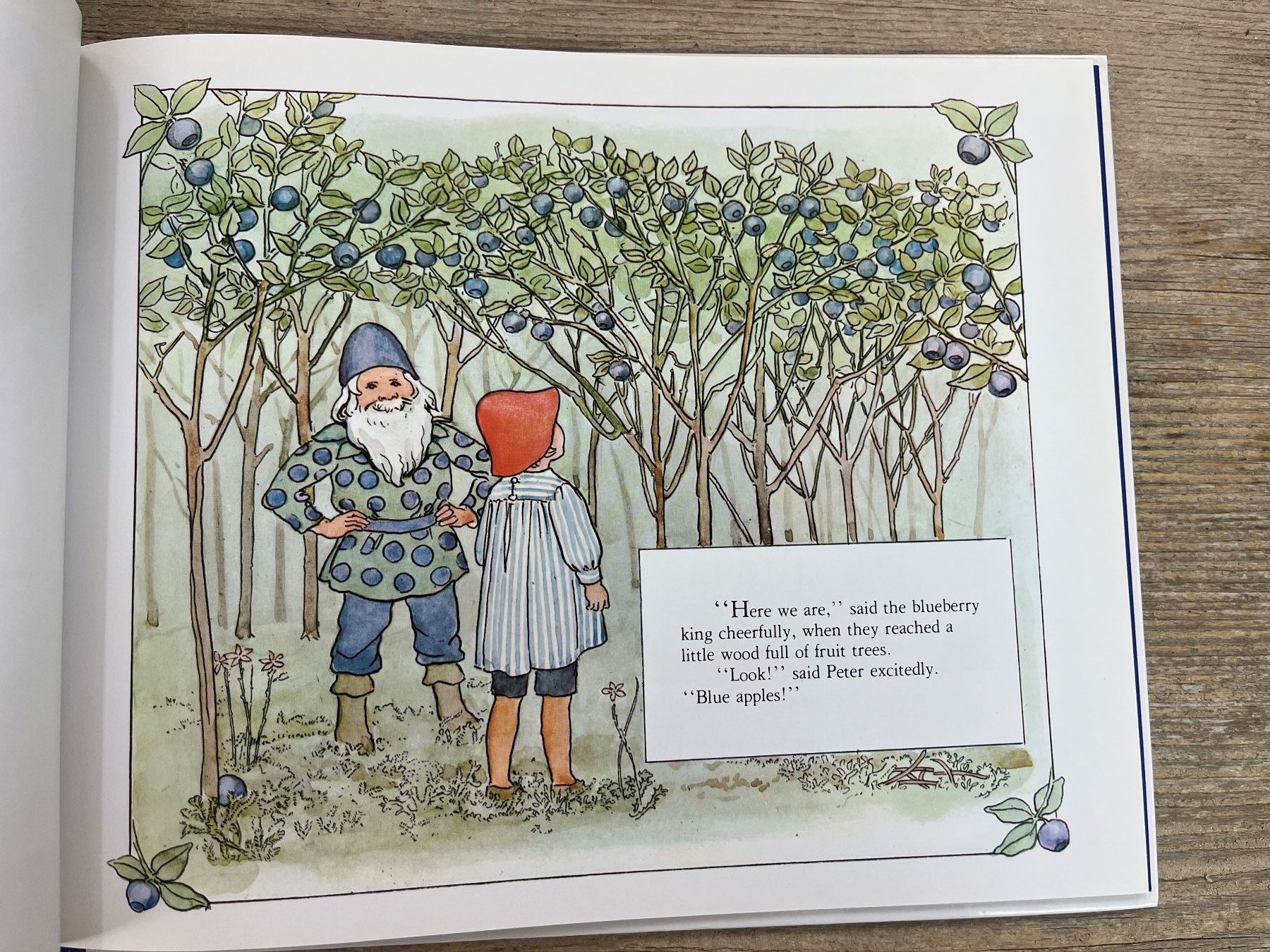 Libri: Elsa Beskov: Peter in Blueberry Land – Usato da Pfäffikon ZH venduto da buresi 2