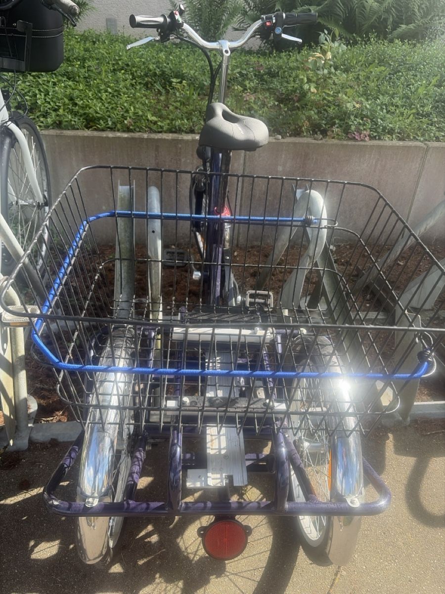 Biciclette: Praktisches E-Dreirad mit grossem Korb – Usato da Zürich venduto da Blume1103 5