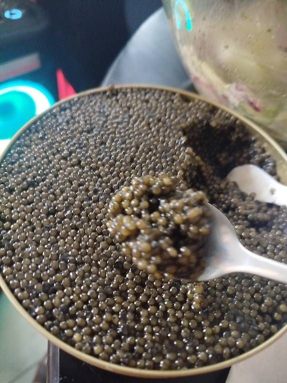 Kit di modellismo & Modellini statici: Beluga Caviar  – Usato da Rupperswil venduto da Viland_Dann 4