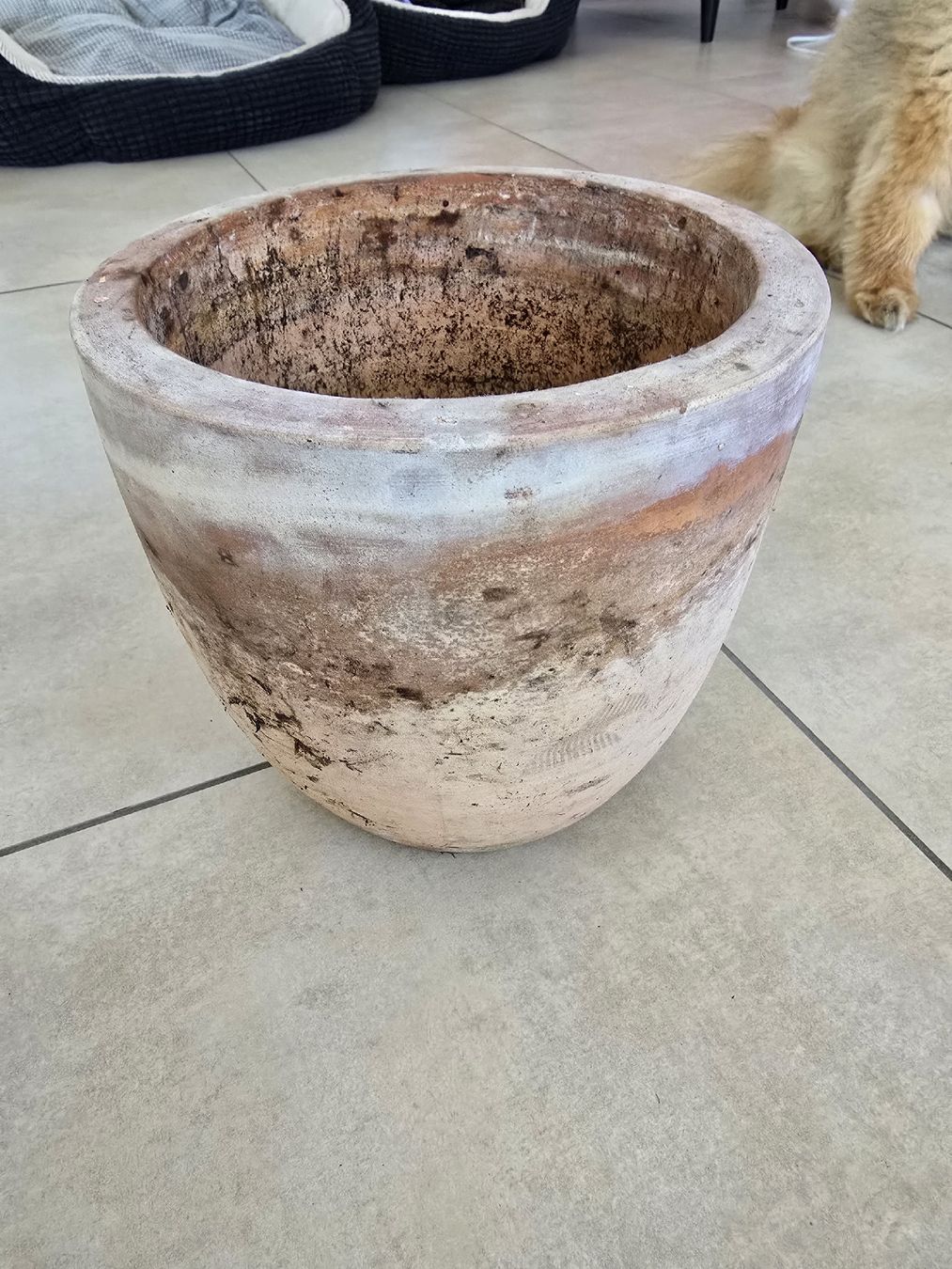 Pots de fleurs: Tontopf – D'occasion à Rickenbach b. Wil par Kth_v8
