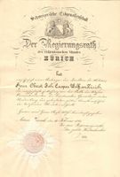 Urkunde Militär Oberst Wolff Waffenkommandant Geniecorps1865