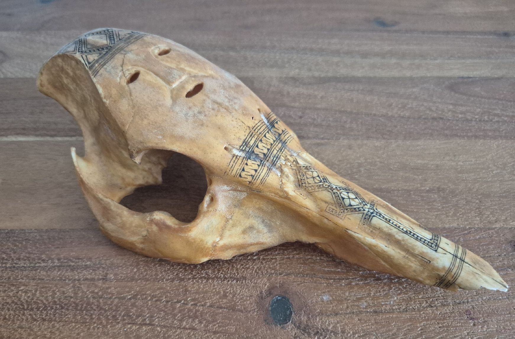 Maschere: Timor Maske – Usato da Zürich venduto da Dalema13 1
