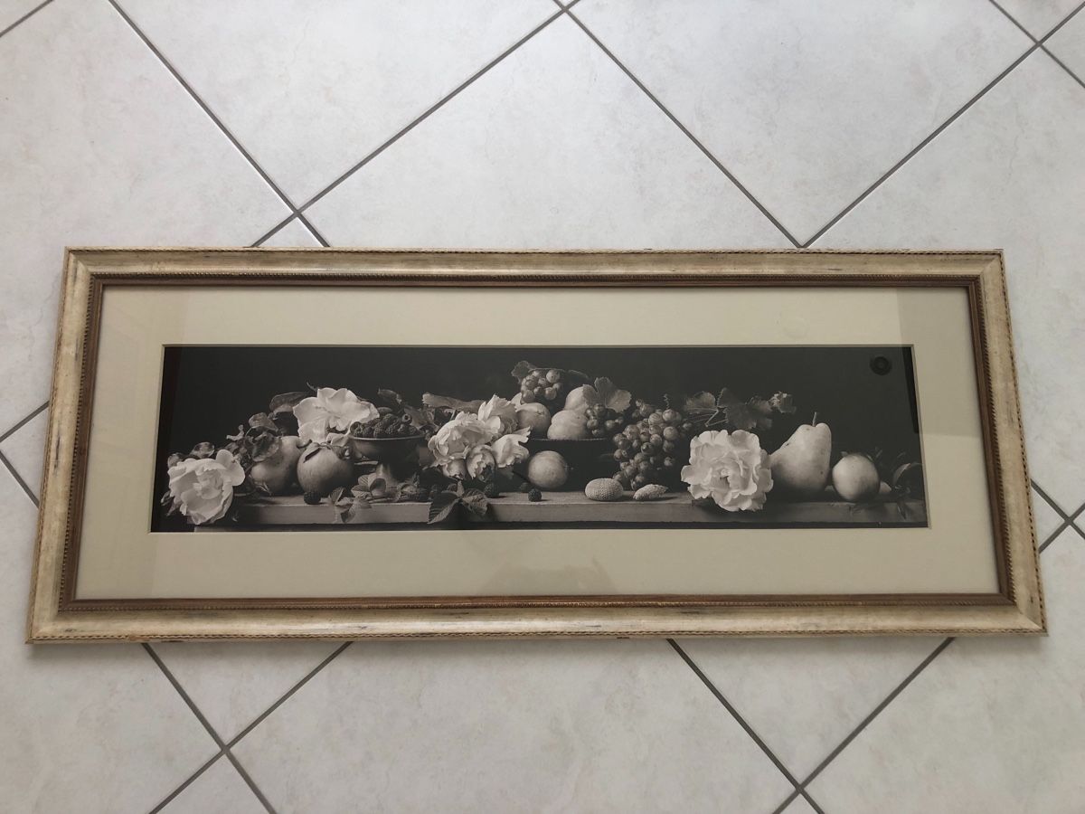 Foto & Immagini: Poster- von Sondra Wampler – Usato da Kollbrunn venduto da wiz_pvc9