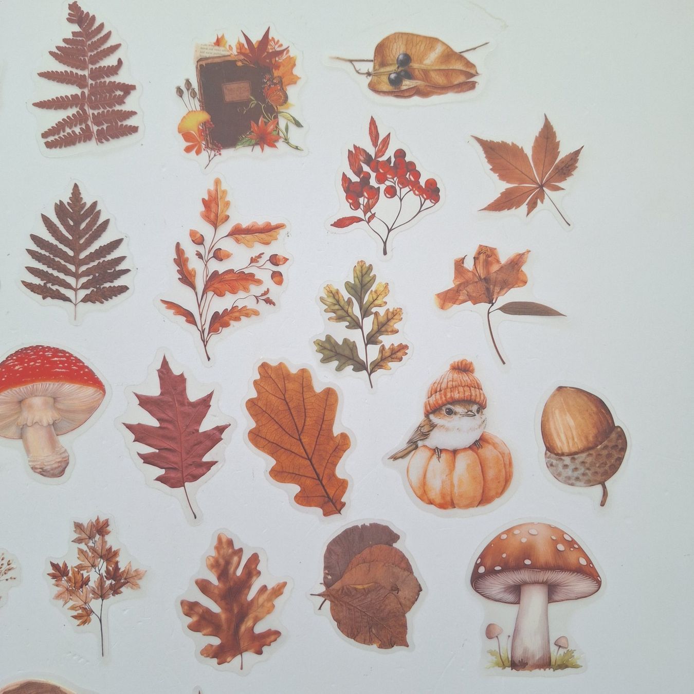 Sticker: 50 Aufkleber Sticker - Herbst – Nuovo e nell'imballaggio originale da Basel venduto da Kunterbunt12 3